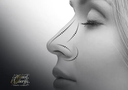 Ahmed Alsharifa Website